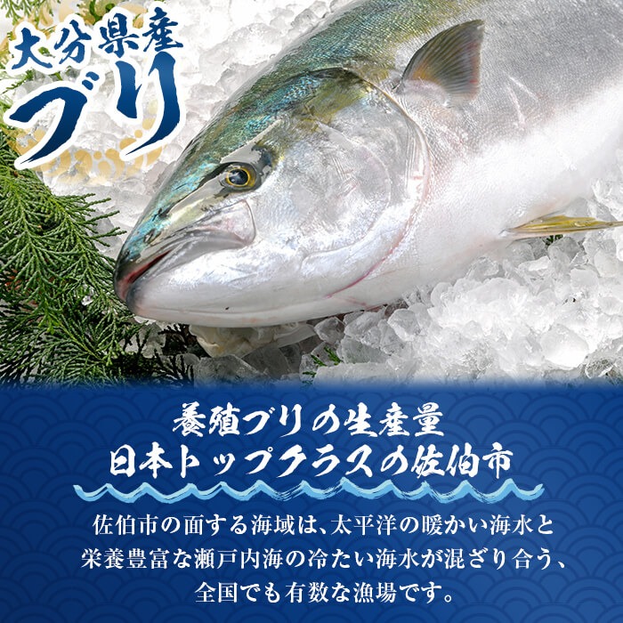 ＜お試し用＞ブリチャン (計225g・45g×5個) 小分け 鰤 ブリ チャンジャ 韓国料理 コチュジャン おつまみ 加工食品 大分県産 大分県 佐伯市 【EW026】【(株)Up】