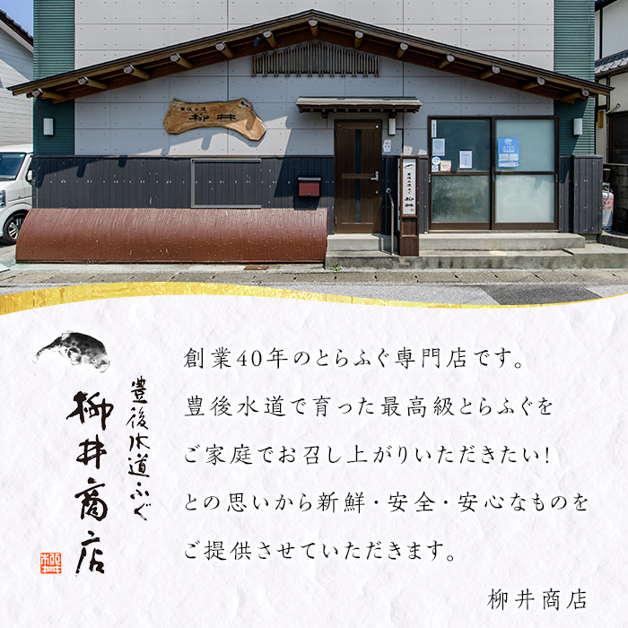 ＜定期便・3回 (隔月)＞豊後とらふぐ ふぐちり鍋用(総計1.1kg・370g×3回) フグ 鍋 ふぐちり 冷凍 養殖 海鮮 魚介 国産 大分県 佐伯市【AB226】【柳井商店】