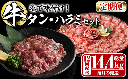 ＜定期便・全12回 (毎月の発送)＞ たっぷり！ 薄切り 塩 牛タン・牛ハラミ セット (総量14.4kg) 小分け 牛肉 肉 タン たん ハラミ はらみ 詰め合わせ 味付け 焼肉 BBQ 冷凍 大分県 佐伯市【DH332】【ネクサ】