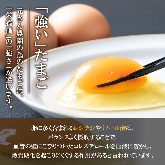 ＜定期便・全6回 (連続)＞平飼い赤鶏のたまご (総量300個・S-Mサイズ50個×6回) 元さん農園 卵 玉子 卵かけご飯 玉子焼き 平飼い 鶏 鶏卵 養鶏場直送 朝採れ 新鮮 大分県 佐伯市 【GE006】【 (株)海九】