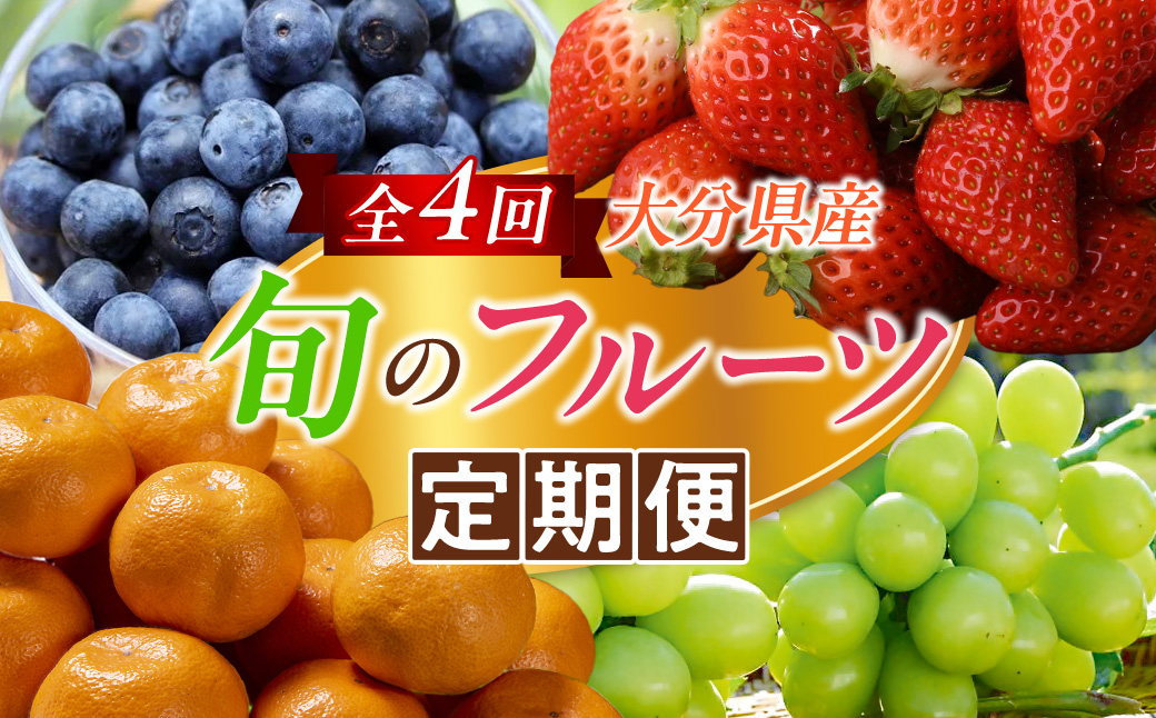 ＜定期便・全4回＞大分県産旬のフルーツ定期便 (4種・総量9kg) ブルーベリー シャインマスカット 温州みかん いちご フルーツ 果物 柑橘 ブドウ デザート 大分県産＜北海道・沖縄・離島配送不可＞ 【DT23】【全国農業協同組合連合会大分県本部】