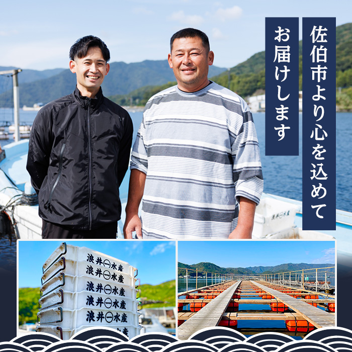 ＜ 訳あり ・ 簡易包装 ＞ 豊後水道 とらふぐ 切り身 (計1.2kg) ふぐ フグ トラフグ ふぐ鍋 唐揚げ ふぐちり てっちり 小分け 切身 切り身魚 切身魚 大容量 国産 冷凍 養殖 岬ふぐ【JJ002】【浪井丸一水産】