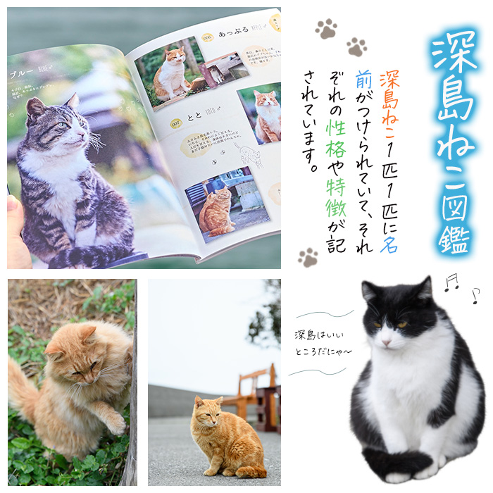 深島ねこ図鑑vol.3 (2冊) 猫 ねこ 写真集 本 雑誌 書籍 深島 猫の島 グッズ 大分県 佐伯市 【HD239】【さいき本舗 城下堂】