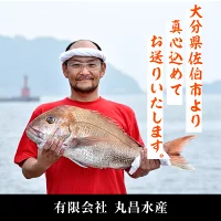 天然 コショウダイ (約2kg・1枚) 直送 産直 漁師 魚 鮮魚 天然 コショウタイ 鯛 白身魚 獲れたて 刺身 寿司 煮つけ 塩焼き 冷蔵 豊後水道 鮮魚 大分県 佐伯市 愛海の恵み【CS08】【 (有)丸昌水産】