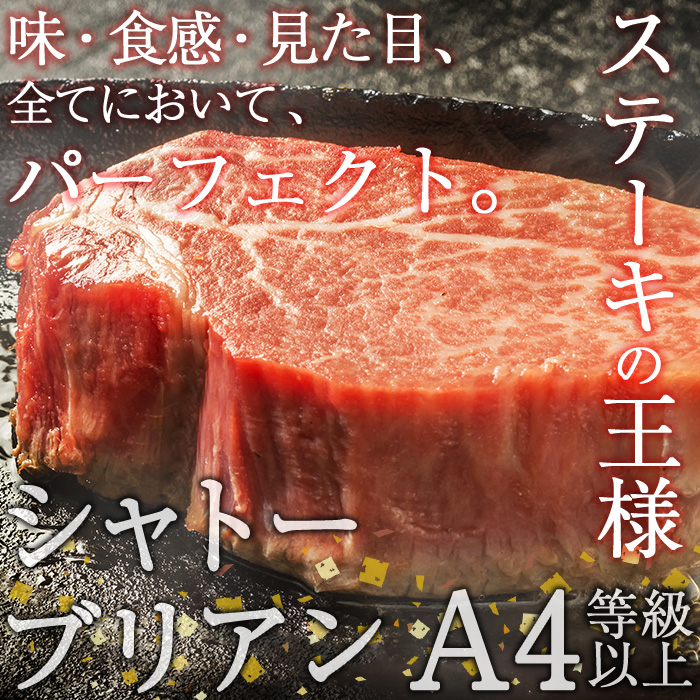 おおいた和牛 シャトーブリアンステーキ (計400g ・シャトーブリアンステーキ約100g×4枚、ステーキソース20g×4袋) 国産 牛肉 肉 霜降り A4 希少部位 ヒレ シャトーブリアン ステーキ 和牛 ブランド牛 冷凍 大分県 佐伯市【DH265】【(株)ネクサ】