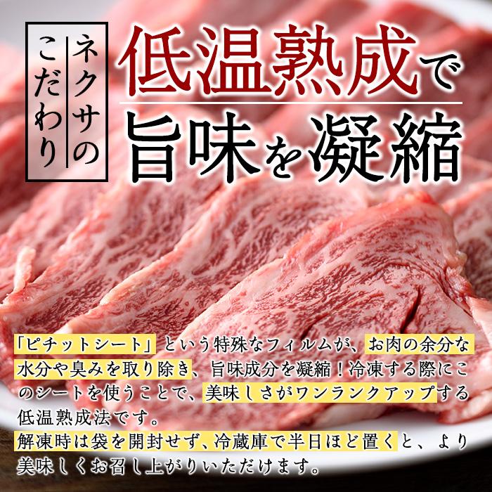 おおいた和牛 カルビ 焼肉 (300g) 国産 牛肉 肉 霜降り 低温熟成 A4 和牛 ブランド牛 BBQ 冷凍 大分県 佐伯市【DH218】【(株)ネクサ】