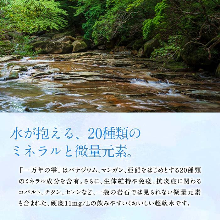 ＜定期便・全6回 (隔月)＞ミネラルウォーター 一万年の雫 軟水 (2L×6本×6回) 国産 お水 ミネラル 天然 料理 健康 維持 大分県 佐伯市【BM72】【 (株)ウェルトップ】