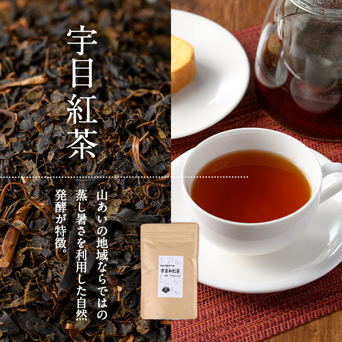 釜炒り 宇目茶・宇目の紅茶セット (合計240g・釜炒り茶120g×2種、紅茶40g×1種) お茶 緑茶 茶 茶葉 釜炒り茶 紅茶 日本茶 大分県産 セット 詰め合わせ 大分県 佐伯市 【FE01】【宇目茶】