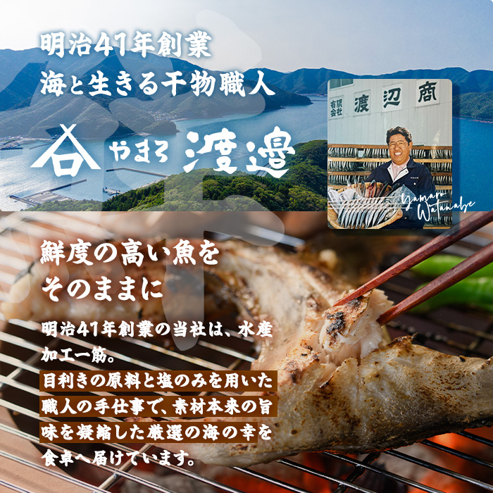 【期間限定・さば切り身2切付】＜定期便・全6回 (隔月)＞訳あり 干物大満足BOX (40尾以上) 定期便 簡単 調理 干物 あじ かます さば いわし みりん干し 丸干し 開き 魚 海鮮 冷凍 詰め合わせ セット 大分県 佐伯市【AQ90-G】【やまろ渡邉】