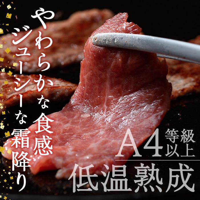 ＜定期便・全4回)＞おおいた和牛 低温熟成 赤身 焼肉 お楽しみ 定期便 (3ヶ月ごとにお届け) 国産 牛肉 肉 霜降り A4 和牛 ブランド牛 冷凍 大分県 佐伯市【DH245】【(株)ネクサ】