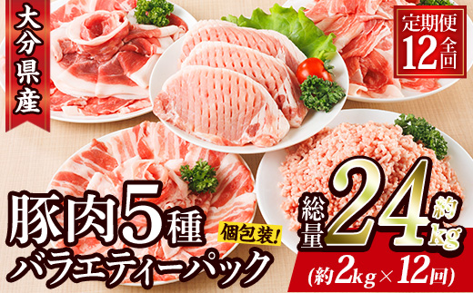 ＜定期便・全12回 (毎月)＞ 豚肉 バラエティーパック (2kg×12回・総量24kg) 豚バラ しゃぶしゃぶ 鍋 とんかつ ロース 小分け 個包装 豚こま 小間切れ スライス ミンチ 5種 セット 詰め合わせ 冷凍 食べ比べ 国産 大分県 佐伯市【BD323】【西日本畜産】