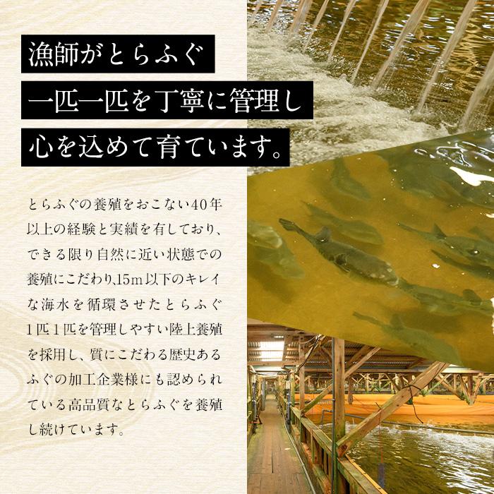 とらふぐ ぶつ切り ちり鍋用 (計400g以上・3-4人前) 冷凍 ふぐ ふぐ鍋 てっちり鍋 お取り寄せ 鮮魚 養殖 国産 ポン酢 大分県 佐伯市【DK15】【(有)エイコー水産】