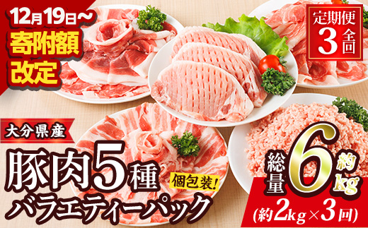 ＜定期便・全3回 (連続)＞ 豚肉 バラエティーパック (総量6kg・5種)豚バラ しゃぶしゃぶ 鍋 とんかつ ロース 小分け 個包装 豚こま 小間切れ スライス ミンチ セット 詰め合わせ 冷凍 食べ比べ 国産 大分県 佐伯市【BD321】【西日本畜産】