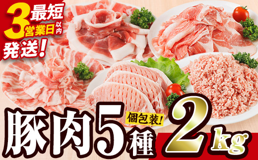 ＼3営業日以内発送／＜1回配送＞ 豚肉 バラエティーパック (合計2kg) 豚バラ しゃぶしゃぶ 鍋 とんかつ ロース 小分け 個包装 豚こま 小間切れ スライス ミンチ 5種 セット 詰め合わせ 冷凍 食べ比べ 国産 大分県 佐伯市【BD320】【西日本畜産】