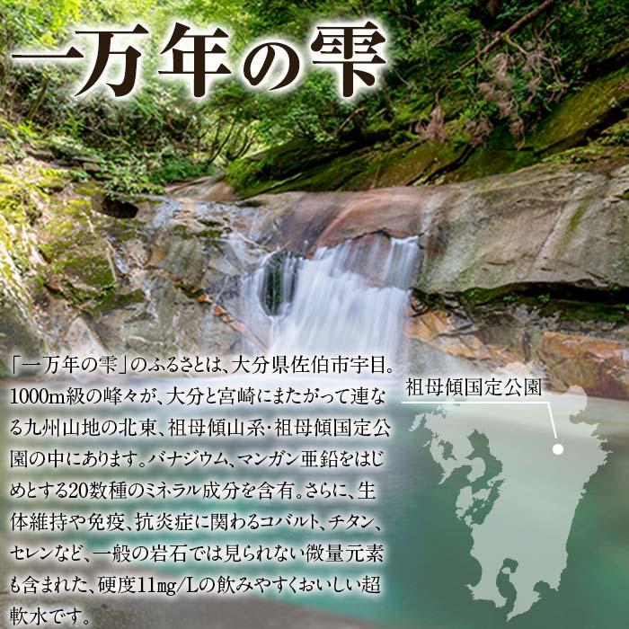 ミネラルウォーター 一万年の雫 軟水 (計12L・500ml×24本) 国産 お水 ミネラル 天然 料理 健康 維持 大分県 佐伯市 防災 常温 常温保存【BM76】【 (株)ウェルトップ】