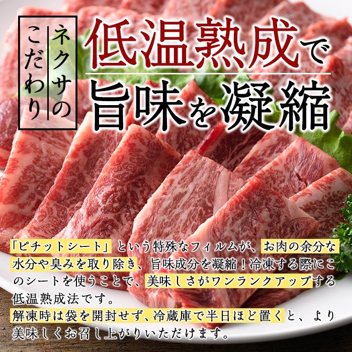 おおいた和牛 上カルビ・上ロース焼肉セット (合計450g・上カルビ250g+上ロース200g) 国産 牛肉 肉 霜降り 低温熟成 A4 和牛 ブランド牛 カルビ ロース 焼肉 BBQ 冷凍 【DH210】【(株)ネクサ】