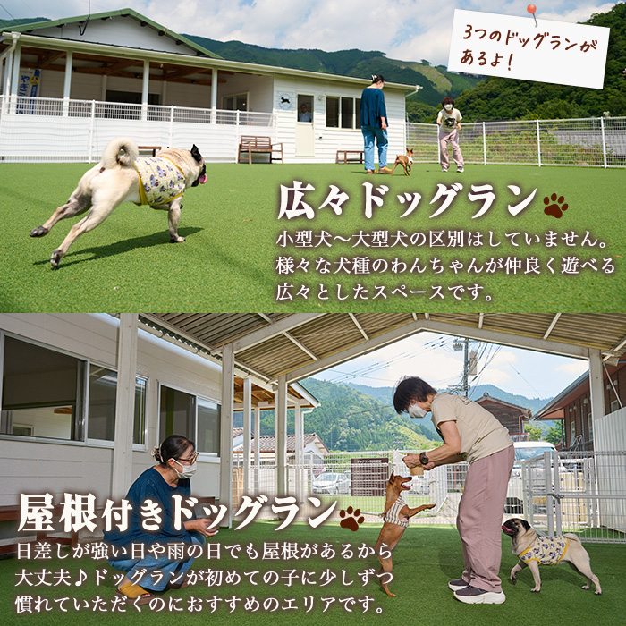 メール便でお届け！ドッグラン利用券(ランチ・スイーツ・お土産付き)(1頭1回分) 犬 ワンちゃん ペット チケット おやつ カフェ 体験 レジャー 自然 屋内 屋内 ラン ポスト投函 大分県 佐伯市 【HI001】【ドッグラン＆カフェblue mountain】