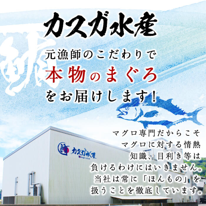 ＜先行予約受付中！2024年11月中旬より順次発送予定＞佐伯市産本マグロ 中トロ(約200g) 中とろ マグロ 鮪 刺身 さしみ 魚 海鮮 冷凍 大分県 佐伯市【DH256】【(株)ネクサ】