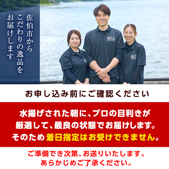 ヒオウギ貝 (10枚) 魚介 貝 ヒオウギ貝 ひおうぎ貝 酒蒸し 網焼き バター焼き バーベキュー 冷蔵 海の直売所 大分県 佐伯市【AS119】【海べ (株)】