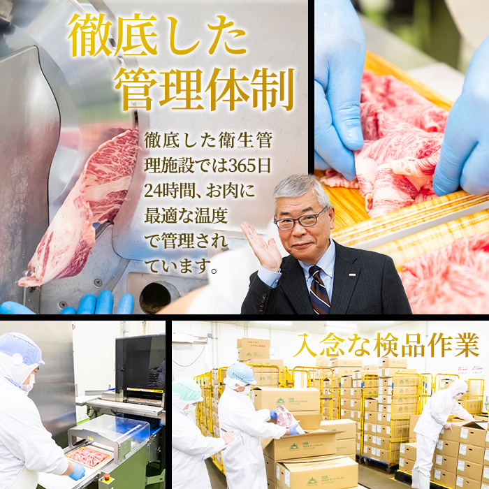 ããããåç çãã (èš200gã»50gÃ4P) åœç£ çè ããè ãã A4 åç ãã©ã³ãç å°åã ãã€ãŸã¿ 倧åç äœäŒ¯åž ãFW008ãã (æ ª)ããŒãã¯ã¬ã¹ãã