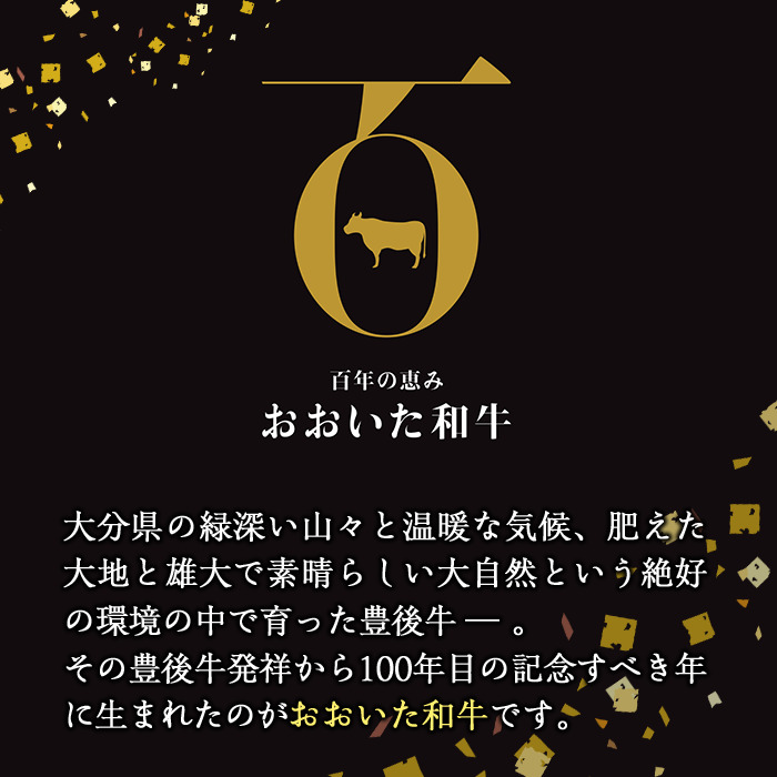 ＜定期便・全4回＞おおいた和牛 希少 赤身 焼肉 お楽しみ 定期便 (3ヶ月ごとにお届け) 国産 牛肉 肉 霜降り A4 ヒレ ランプ 大トロカルビ ミスジ 和牛 ブランド牛 冷凍 大分県 佐伯市【DH247】【(株)ネクサ】