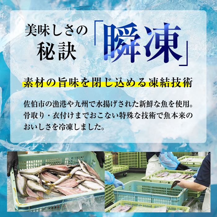 ＜訳あり・お試し用＞地魚フライセット詰合せ(計4P・3種類以上)フライ 揚げ物 あじ さわら ぶり さば かます しいら うるめいわし 寒ぼら いわし お惣菜 お弁当 おかず 魚 冷凍 詰め合わせ 揚げるだけ 時短 セット 小分け 鯖 鯵【DH209】【株式会社ネクサ】