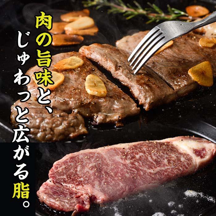 おおいた 和牛 サーロイン ステーキ (計360g・180g×2枚) 国産 豊後牛 BBQ バーベキュー 惣菜 やきにく おかず 百年の恵み 大分県 佐伯市【BD182】【西日本畜産 (株)】