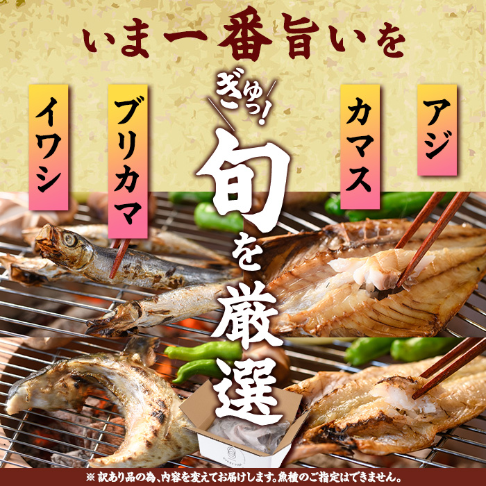 【期間限定・さば切り身2切付】＜定期便・全6回 (隔月)＞訳あり 干物大満足BOX (40尾以上) 定期便 簡単 調理 干物 あじ かます さば いわし みりん干し 丸干し 開き 魚 海鮮 冷凍 詰め合わせ セット 大分県 佐伯市【AQ90-G】【やまろ渡邉】