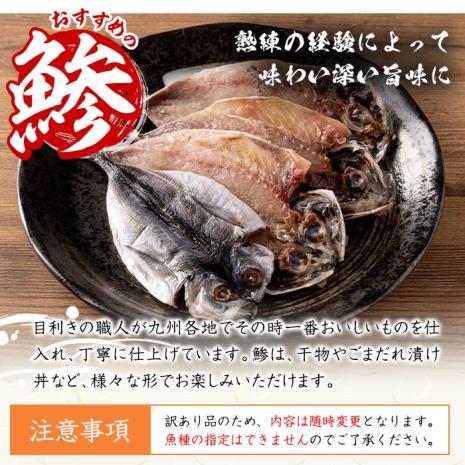 ＜訳あり＞干物 バラエティセット (8種) 簡単 調理 干物 あじ かます さば きびなご あつめし ぶり ぶりかま フライ 開き 魚 海鮮 冷凍 詰め合わせ 大分県 佐伯市 やまろ渡邉【DL05】【鶴見食賓館】