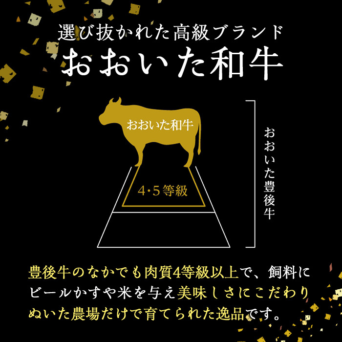 おおいた和牛 100% 手ごね 生ハンバーグ (計900g・150g×6個) 国産 牛肉 肉 霜降り A4 和牛 ブランド牛 冷凍 大分県 佐伯市【DH267】【(株)ネクサ】