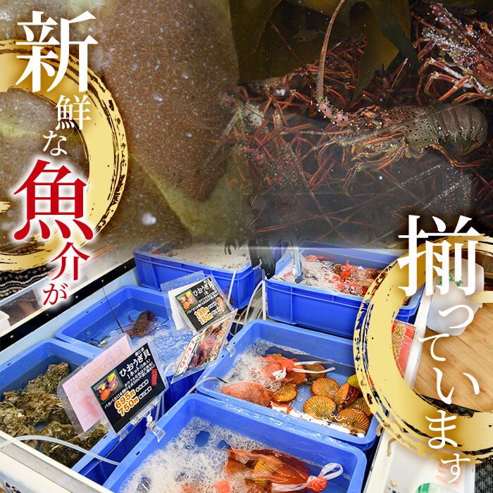 ヒオウギ貝 (10枚) 魚介 貝 ヒオウギ貝 ひおうぎ貝 酒蒸し 網焼き バター焼き バーベキュー 冷蔵 海の直売所 大分県 佐伯市【AS119】【海べ (株)】