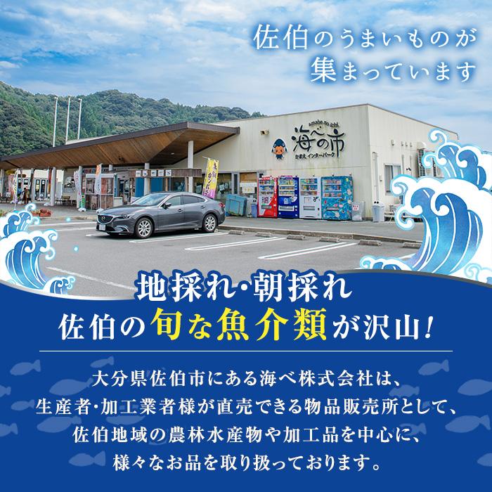 ＜お試し用＞陣笠にな (約1kg) 魚介 貝 にな ニナ 酒蒸し 網焼き バター焼き バーベキュー 獲れたて 冷蔵 海の直売所 大分県 佐伯市【AS125】【海べ (株)】