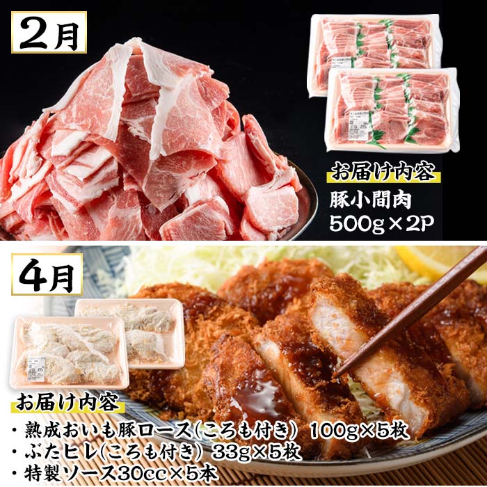 ＜定期便・全6回 (隔月)＞豚肉 2ヶ月に1回 定期便 (偶数月にお届け) ぶた 豚 おにく お肉 とんかつ ヒレ ロース バラ 鍋 しゃぶしゃぶ 大分県 佐伯市【BD201】【西日本畜産 (株)】