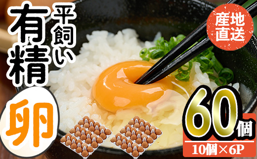 産直・平飼い有精卵 (計60個) 卵 玉子 卵かけご飯 玉子焼き 平飼い 鶏 鶏卵 養鶏場直送 朝採れ 新鮮 大分県 佐伯市 【HM02】【佐伯養鶏場】