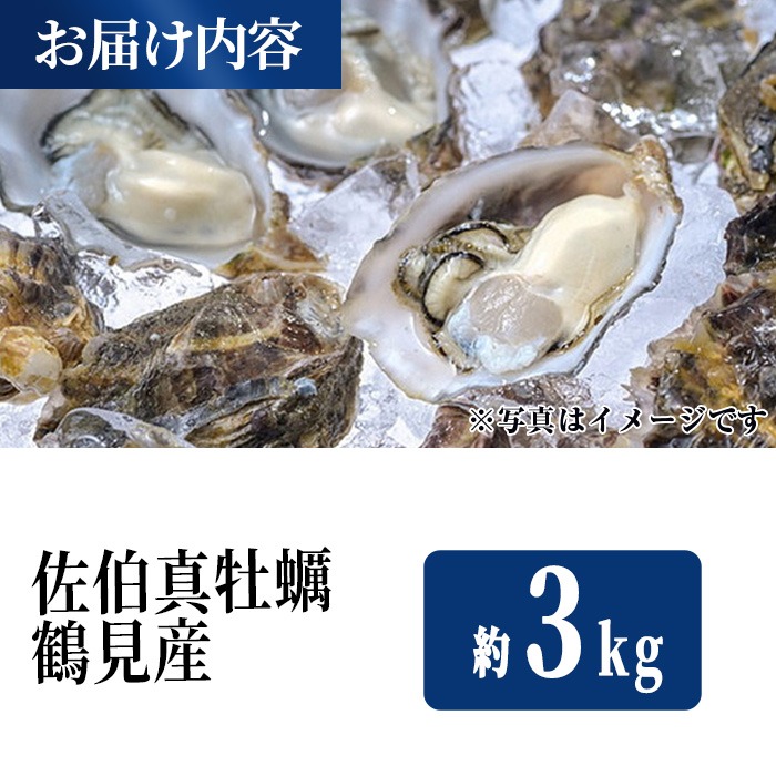 äœäŒ¯çç¡è £ é¶ŽèŠç£ (çŽ3kg) ç¡è £ ã«ã æ°é®® å°åã çç¡è £ çã«ã ã«ããã©ã€ é 倧åç äœäŒ¯åžãçé£å¯ããEW062ããUpã