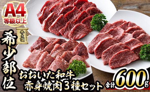 おおいた和牛 希少部位 赤身 焼肉 セット (合計600g・ヒレ200g+ミスジ200g+ランプ200g) 国産 牛肉 肉 霜降り 低温熟成 A4 和牛 ブランド牛 BBQ 冷凍 大分県 佐伯市【DH235】【(株)ネクサ】