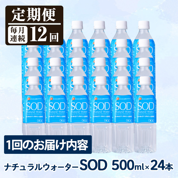 ＜定期便・全12回(毎月)＞ナチュラル ウォーター SOD (総量288本・500ml×24本×12回) 定期便 国産 鉱泉水 お水 ミネラル ドリンク 大自然 天然 料理 健康 維持 防災 常温 保存 12回【HD247】【さいき本舗 城下堂】