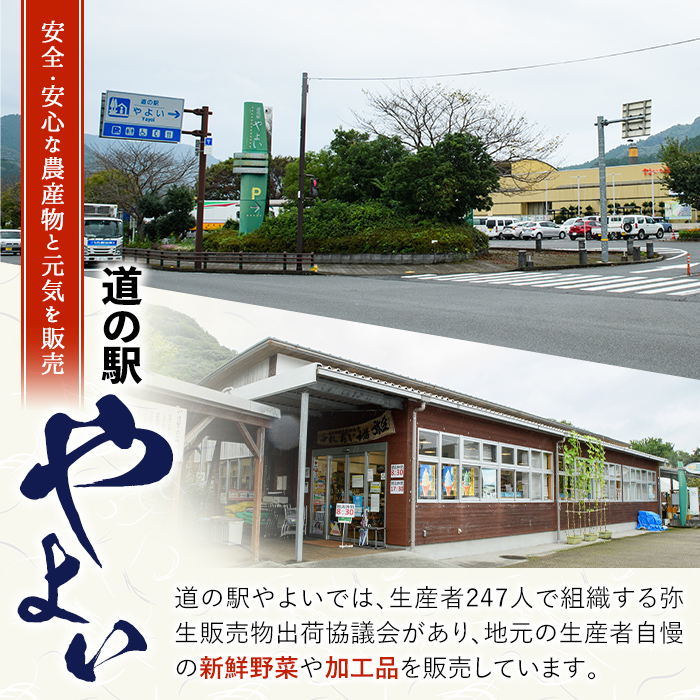 ＜令和6年産・新米＞道の駅やよいのお米 ひのひかり (5kg) 米 白米 新米 精米 国産 ご飯 ブランド米 大分県産 大分県 佐伯市【EN10】【道の駅やよい】