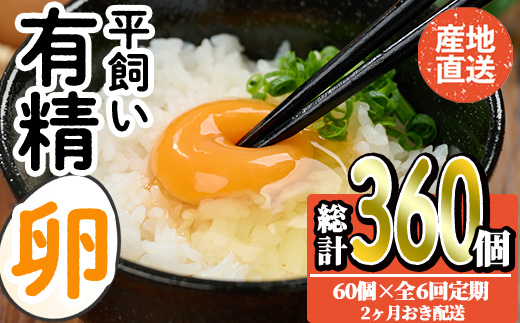 ＜定期便・全6回＞産直・平飼い有精卵 (総計360個・60個×6回(2ヶ月おき発送)) 卵 玉子 卵かけご飯 玉子焼き 平飼い 鶏 鶏卵 養鶏場直送 朝採れ 新鮮 大分県 佐伯市 【HM09】【佐伯養鶏場】