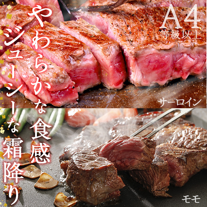 ＜定期便・全6回 (隔月)＞おおいた和牛 低温熟成 ステーキ 定期便 (2ヶ月ごとにお届け) 国産 牛肉 肉 霜降り A4 ミスジ モモ ヒレ サーロイン ランプ リブ 和牛 ブランド牛 冷凍 【DH186】【(株)ネクサ】