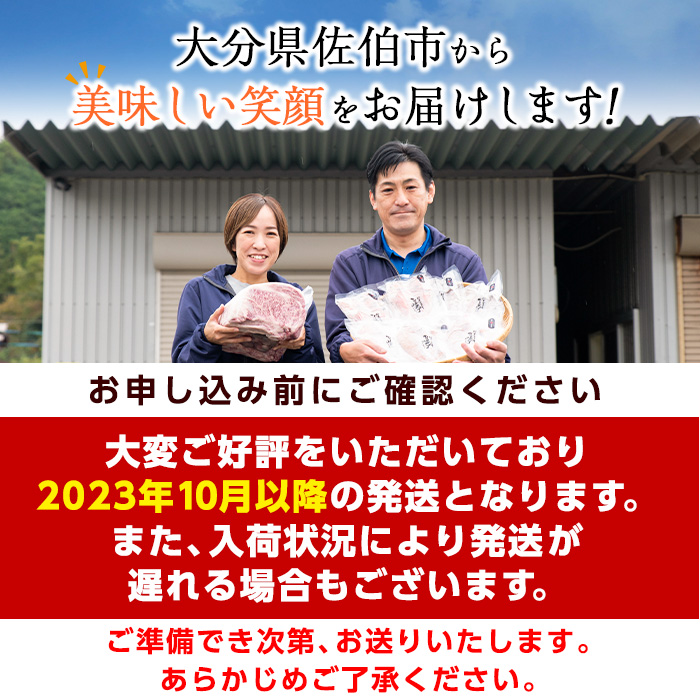 おおいた和牛 ヒレステーキ (計400g ・ヒレステーキ100g×4枚、ステーキソース×4袋) 国産 牛肉 肉 霜降り A4 ヒレ ステーキ 和牛 ブランド牛 冷凍 大分県 佐伯市【DH164】【(株)ネクサ】