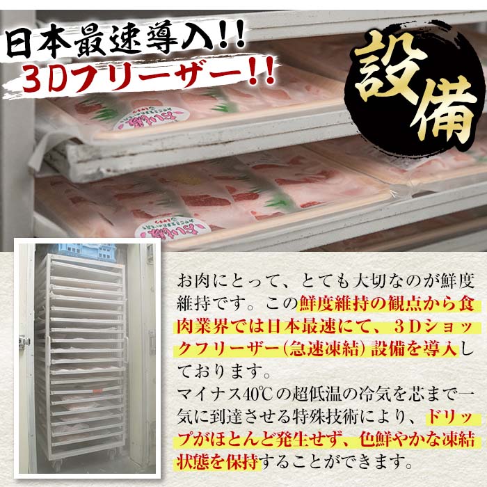 おおいた 和牛 ヒレステーキ (計450g・約150g×3枚) 国産 牛肉 ステーキ 豊後牛 BBQ バーベキュー 焼肉 ヒレ ヒレ肉 惣菜 大分県 佐伯市【BD205】【西日本畜産 (株)】