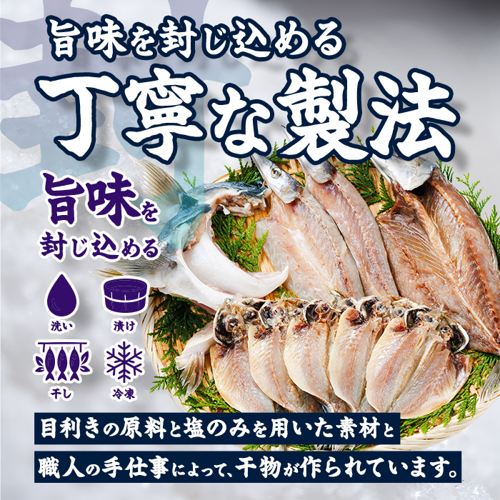 ＜訳あり＞ 厳選 干物 お試し版 (総量10枚) 簡単 調理 干物 あじ かます さば ぶり ぶりかま 開き 魚 海鮮 冷凍 詰め合わせ 大分県 佐伯市 やまろ渡邉【DL33】【鶴見食賓館】