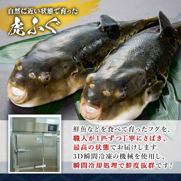 虎ふぐ刺身(4-5人前) ふぐ フグ トラフグ とらふぐ あら 刺身 皮 ひれ 薬味付き【GP004】【高瀬水産】