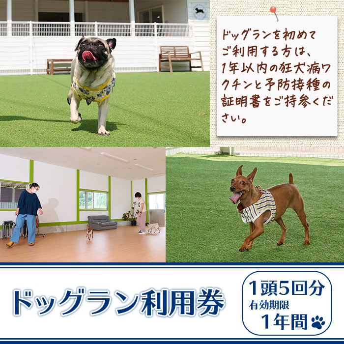 メール便でお届け！ドッグラン利用券(1頭5回分) 犬 ワンちゃん ペット チケット 体験 レジャー 自然 屋内 屋内 ラン 川遊び ポスト投函 大分県 佐伯市【HI002】【ドッグラン＆カフェblue mountain】