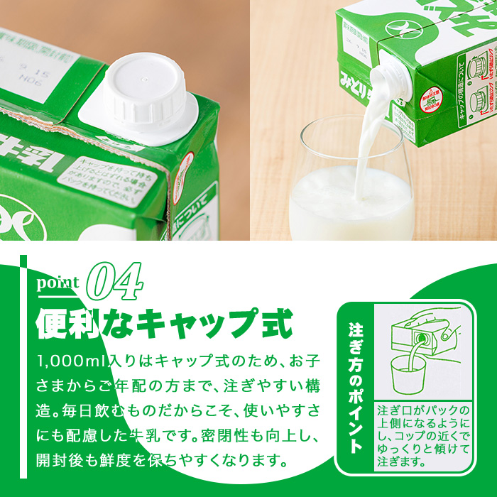  みどり牛乳(計12L・1000ml×12本)常温 保存 ミルク 生乳 長期保存 ロングライフ 乳製品 防災 備蓄 大分県 佐伯市【GT02】【九州乳業株式会社】