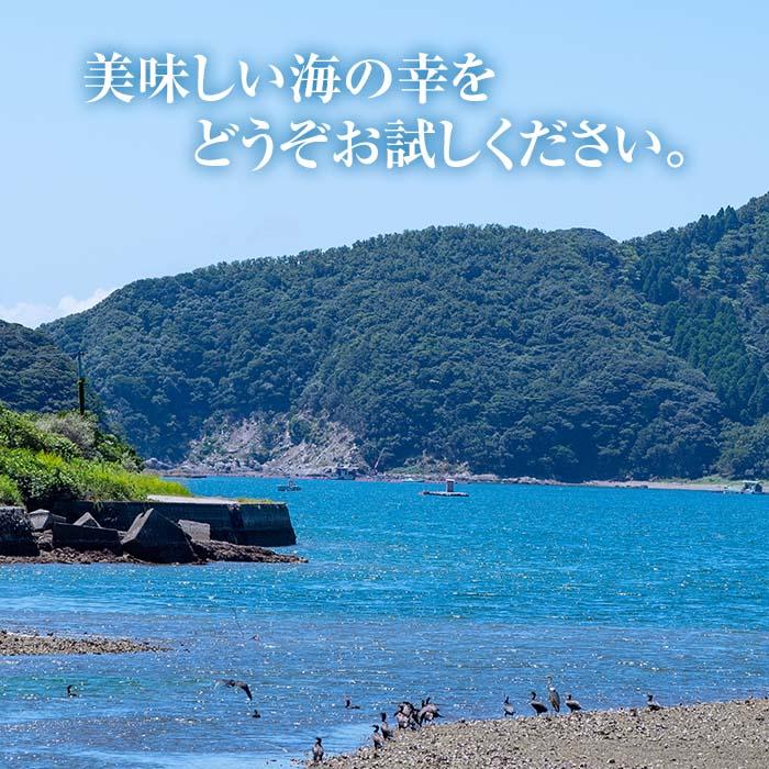  国産 ひじきと梅塩こんぶ (計800g・80g×10P) ひじき 梅塩 梅 こんぶ 昆布 ごはん おにぎり お茶漬け 常温 大分県 佐伯市【DE06】【安部水産 (株)】