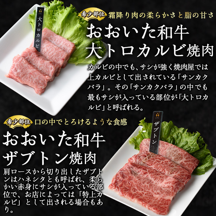 ＜訳あり＞厳選焼肉お試しセット (合計410g・5種) おおいた和牛 アイオワプレミアム 牛タン 米の恵み 豚バラ 焼肉 牛肉 肉 豚肉 赤身 カルビ 希少部位 低温熟成 和牛 ブランド牛 BBQ 冷凍 大分県 佐伯市【DH263】【(株)ネクサ】