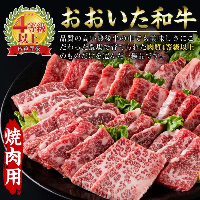 おおいた 和牛 3種 セット (合計1.66kg・サーロインステーキ180g×2枚・ウデ肉700g・焼肉300g×2P) 国産 豊後牛 BBQ 赤身 バーベキュー 惣菜 やきにく おかず 百年の恵み 【BD186】【西日本畜産 (株)】