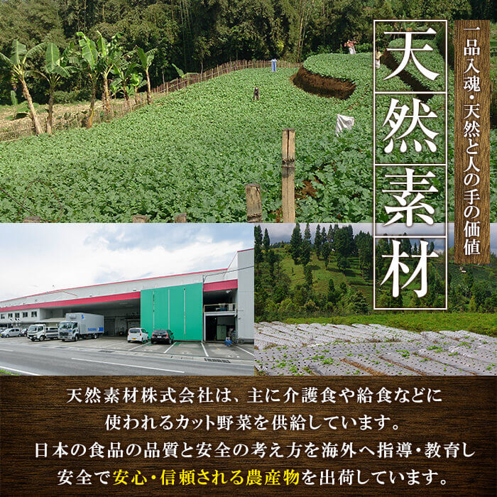 小型犬用ドライフード (計800g・400g×2袋) ドッグフード ペットフード 犬 総合栄養食 【EC15】【天然素材】